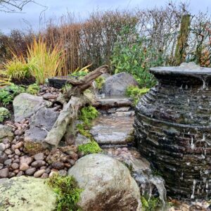image12